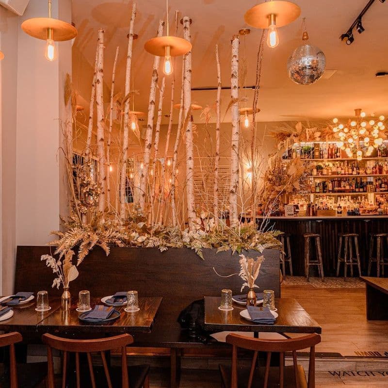 Interior of Festivál Cafe, a farm-to-bar cocktail cafe on the Upper East Side