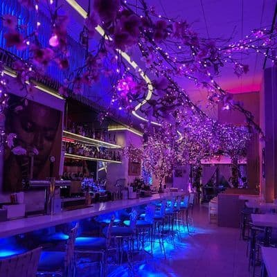8 Best Venues for a Birthday Brunch in NYC Under $1,500
