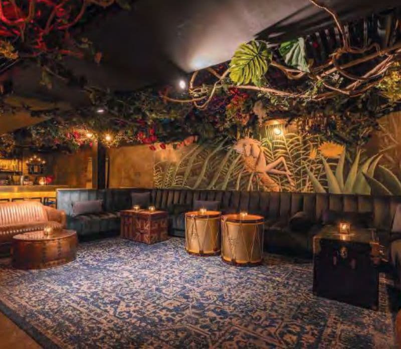 Interior of LOULOU bistro in Chelsea with greenery and warm wood details
