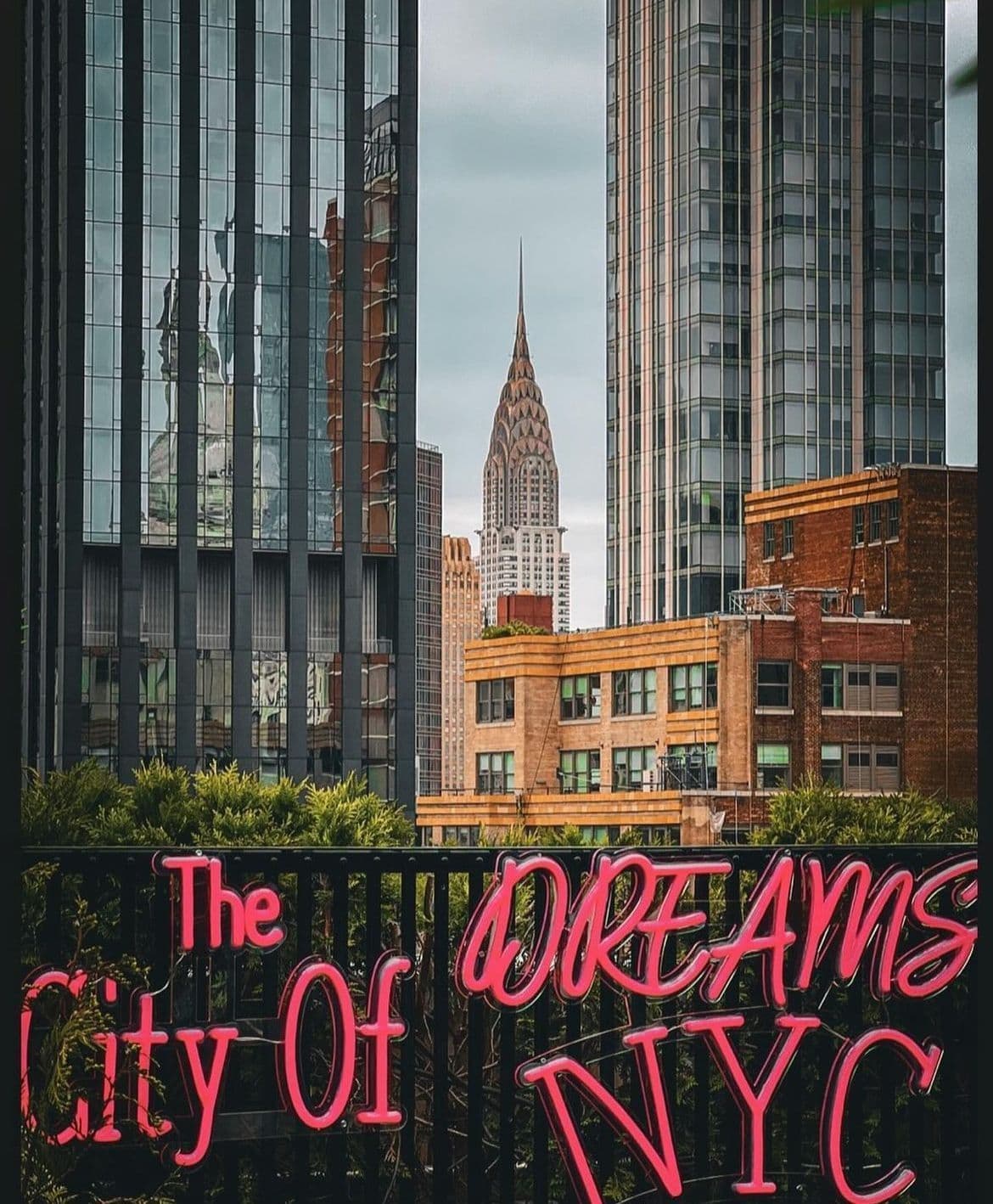 230 Fifth Rooftop Bar - Tables image 2